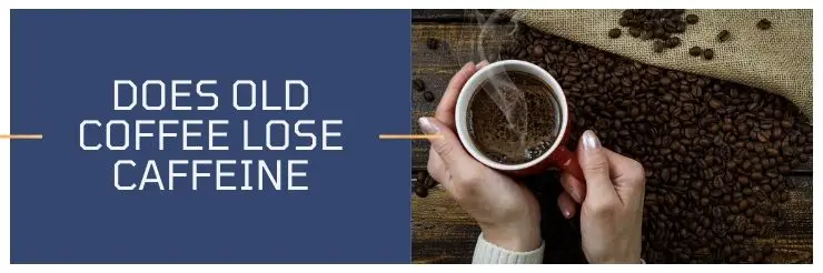 Does Old Coffee Lose Caffeine