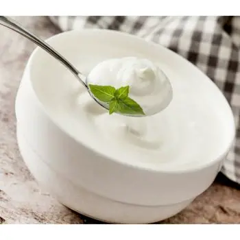 bowl of yogurt with some mint in