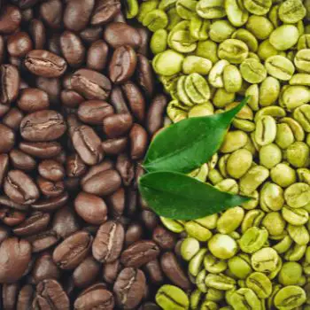 coffee beans and green coffee beans